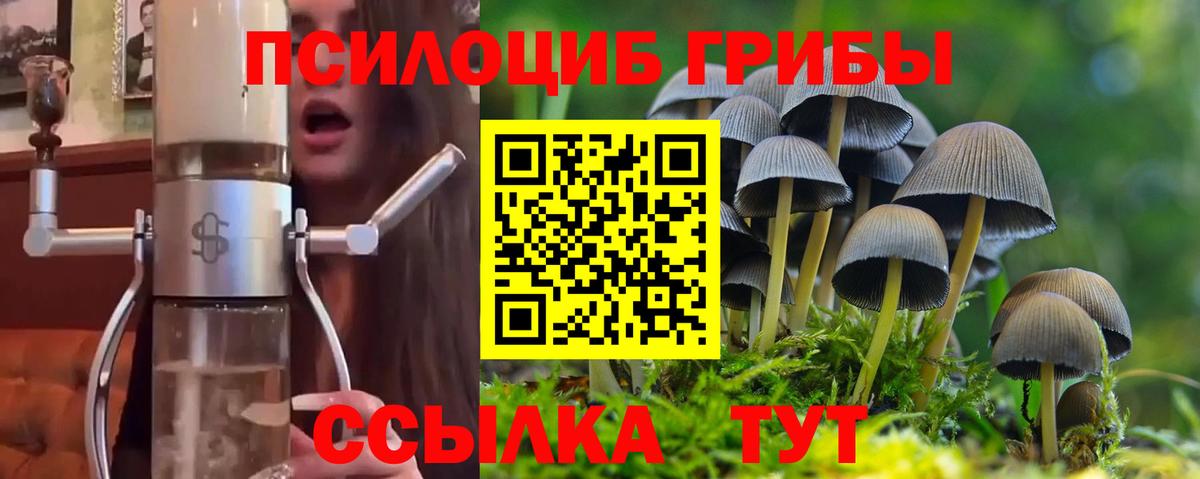 Галлюциногенные грибы Cubensis Тайшет